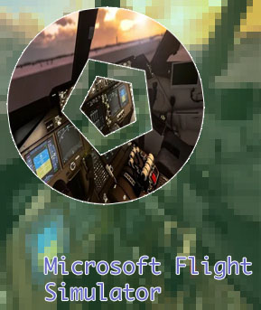 Simulator game 2020